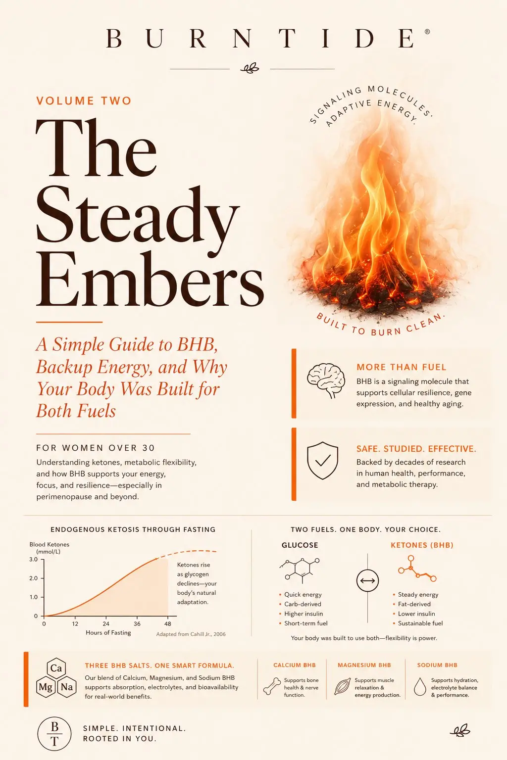 The Steady Embers BurnTide bonus